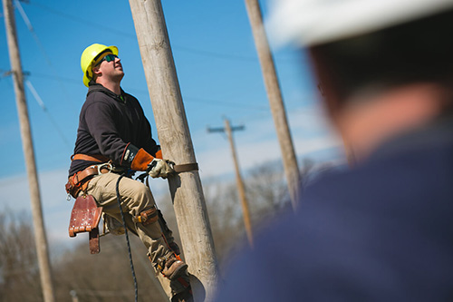A student climbs a power pole using safety gear