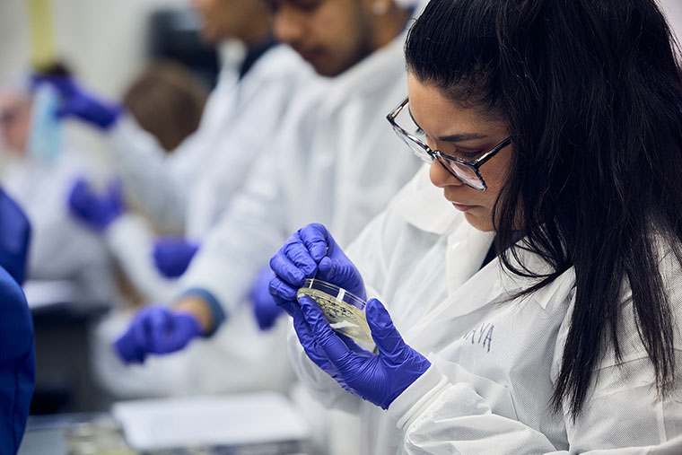 Associate of Science Transfer