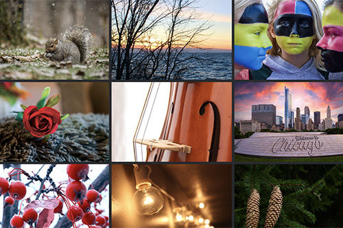 NWTC Photography students post beautiful new portfolios