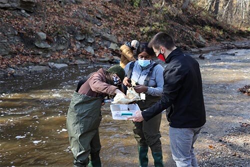 Environmental engineering students take samples from Baird Creek