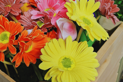 Pick-a-Flower for a Prize