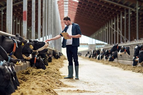 Dairy Animal Husbandry - Certificate