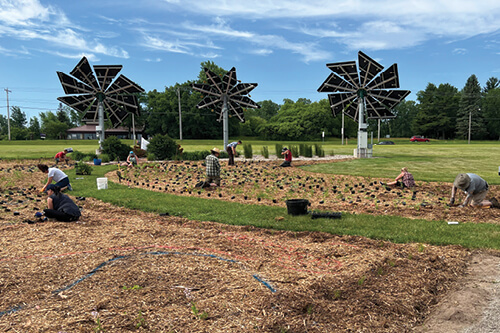 NWTC Pollinator habitat