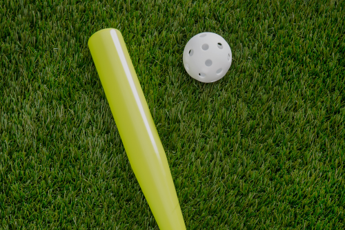 Wiffle Ball Tournament