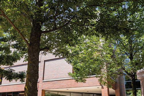 Trees on the Green Bay campus