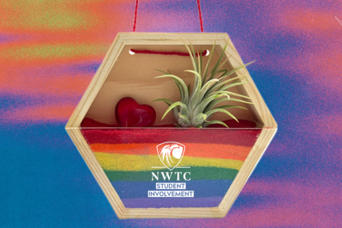 Make & Take: Sand Art and Air Plant