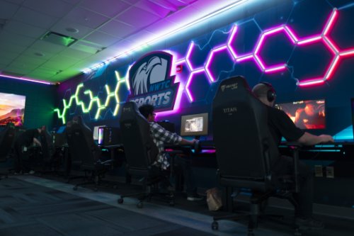 Exploring Esports