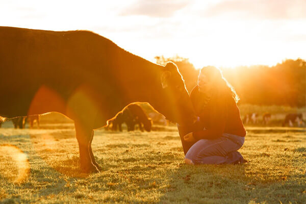 Taylor Maroszek on the farm during golden hour