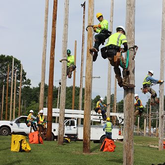 Outdoor Electrical Power Distribution Pole Field