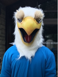 Acccaptable photo of Eagle headshot.