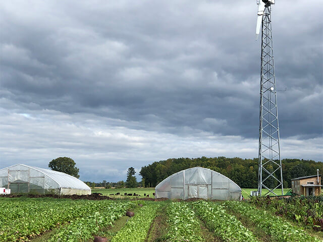 A wind turbine spins above a field of vegetables