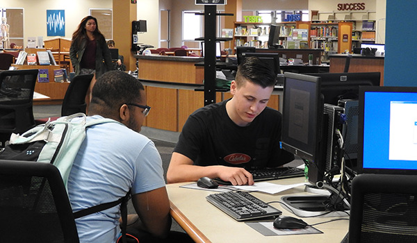 Students study in the library