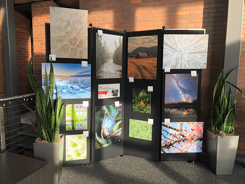 Creative Arts Cub Display