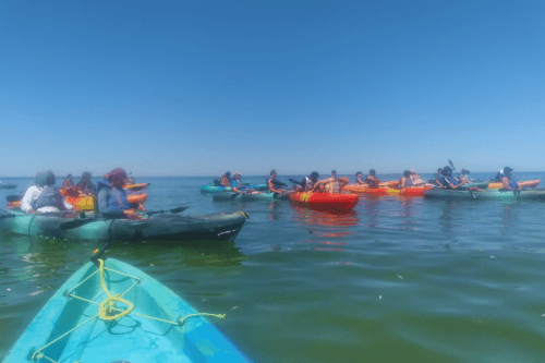 Students kayaking