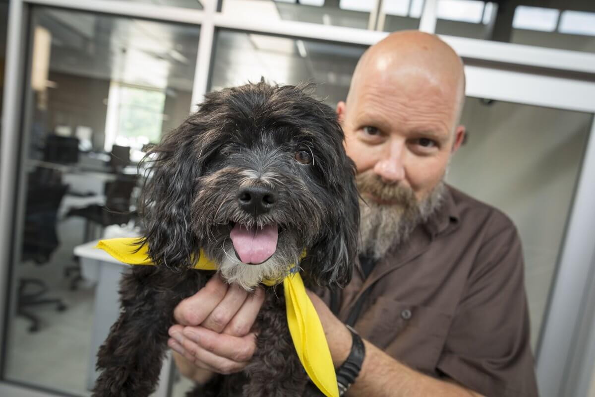 A mental health counselor holds a therapy dog in his lap