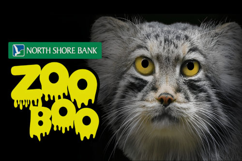 Zoo Boo logo