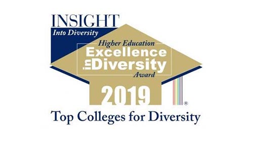 2019 Higher Education Excellence in Diversity Award