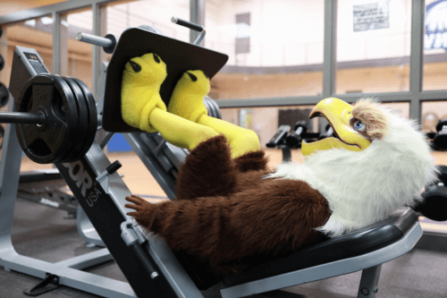 NWTC Mascot Newton using a exercise equipment
