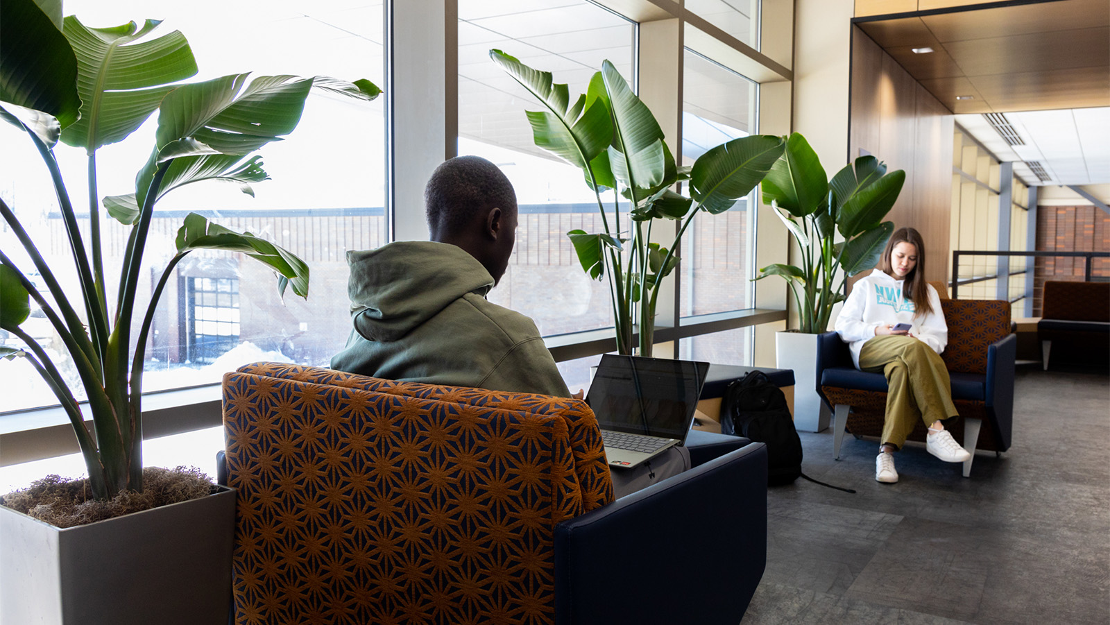 Students study in a people pocket on campus