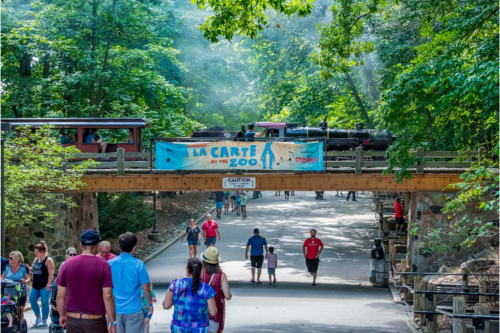 Visitors walking at the Milwaukee Zoo