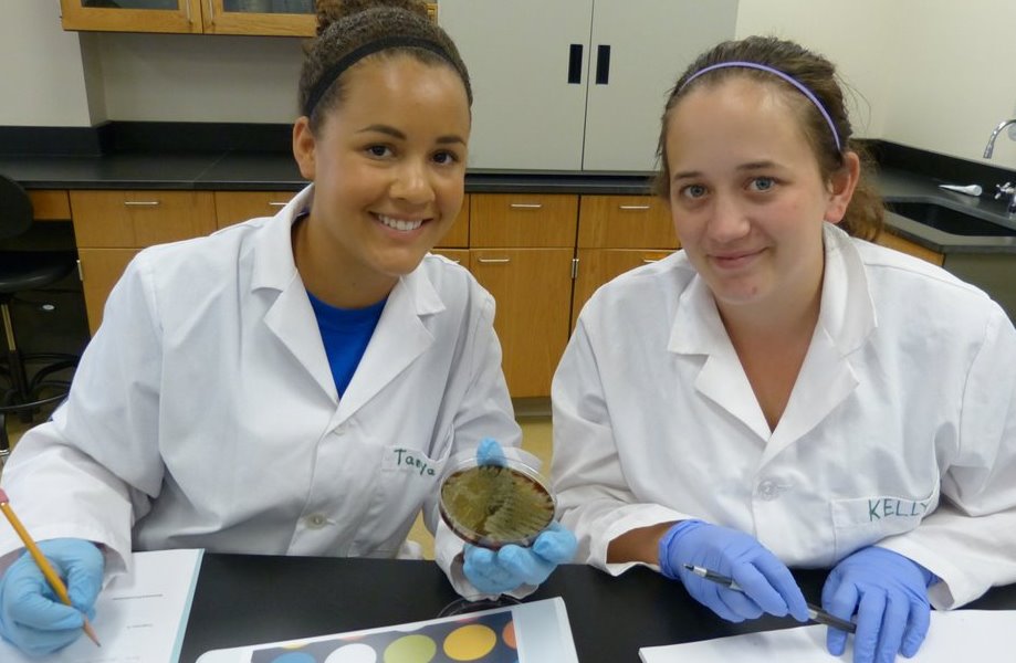 Two students work together in a chemistry lab