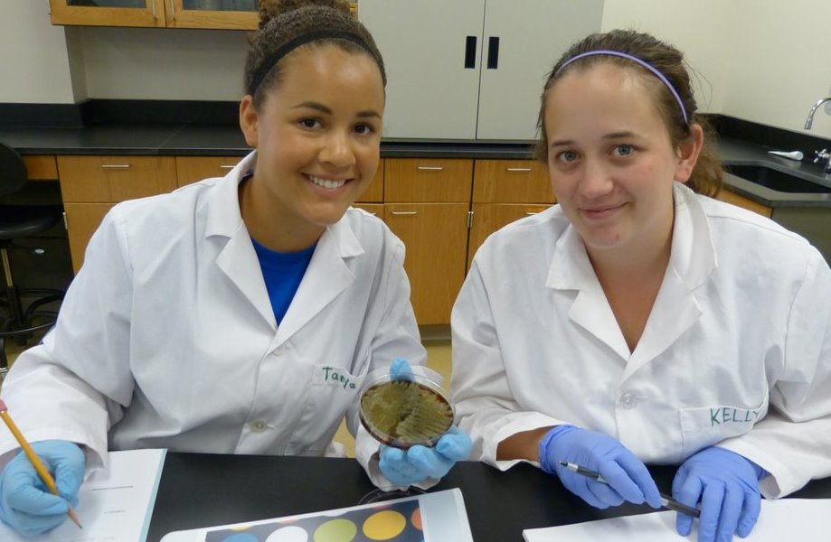 Two students review the contents of a petri dish in a lab
