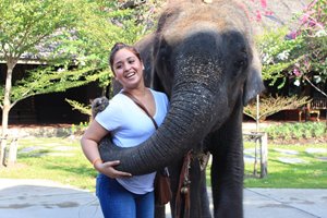 Study Abroad Opportunities