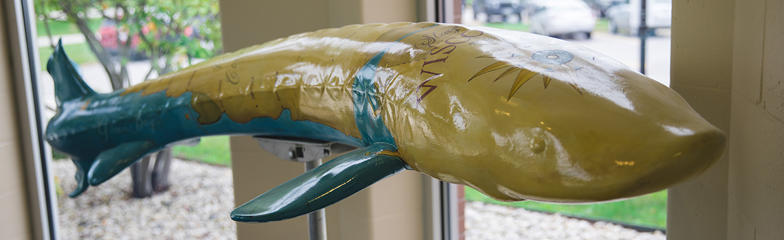 A decorated sturgeon at NWTC Sturgeon Bay