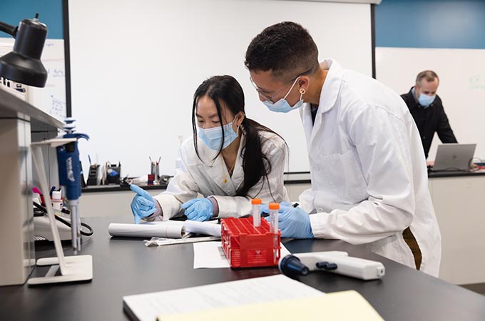 Two students wearing masks and gloves examine a lab specimen
