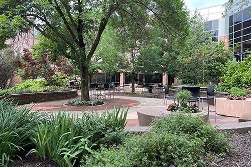 NWTC Green Bay Campus with trees and plants in front
