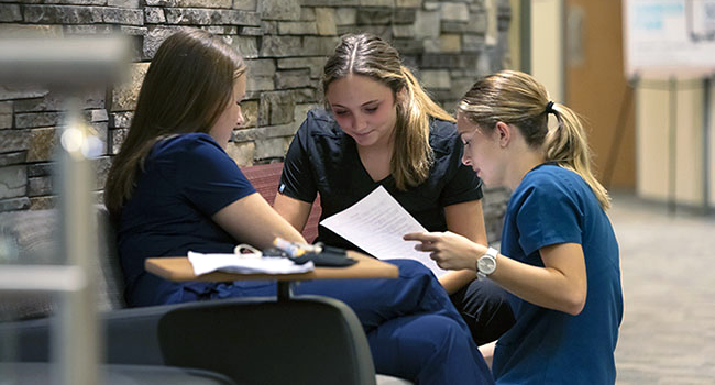 Health sciences students study together