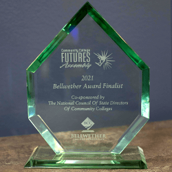 image of the crystal Bellwether Award 