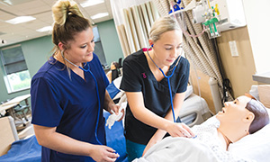 Nursing students work on a patient simulator